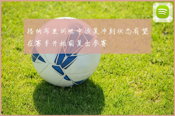 格纳布里训练中恢复冲刺状态有望在赛季开始前复出参赛
